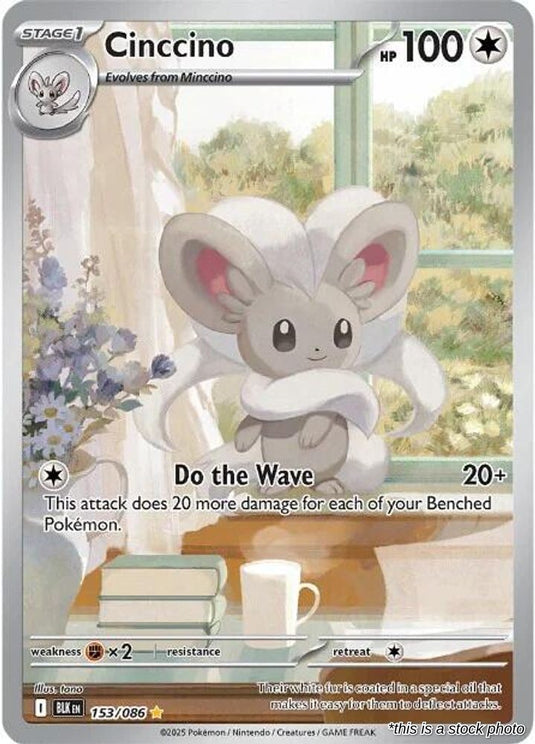 Cinccino - 153/086